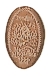 Disneyland Magical Milestones pressed penny