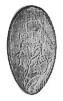 The DL Guides have a full size picture of this coin and all other Disneyland pressed pennies. dl0269r.jpg - 1999 Bytes